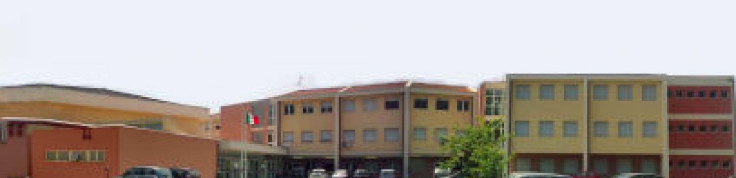 Liceo Scientifico e Linguistico "G. Piazzi"